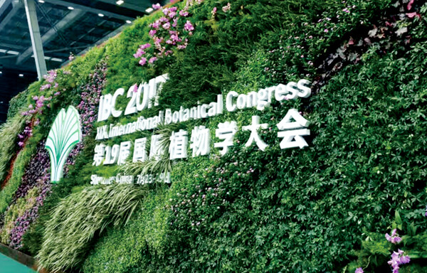 黨建設(shè)計,黨建形象設(shè)計,黨建展廳,黨建文化,黨建理念